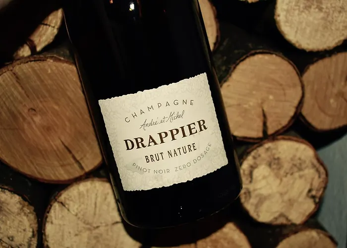 Hotel Logis Le Relais De La Voie Sacree 2*